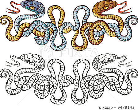 Snakes Tattoo Designのイラスト素材