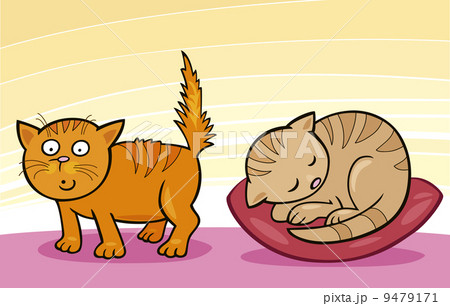Cute little Cats Cute little Cats 9479171