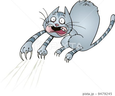 Frightened cat Frightened cat 9479245