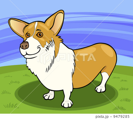 pembroke welsh corgi dog cartoon illustration 9479285