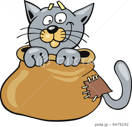 Cat in sack 9479292