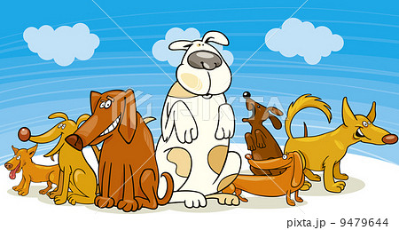 Group of funny dogs Group of funny dogs 9479644