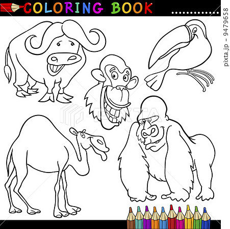 Animals for Coloring Book or Page 9479658