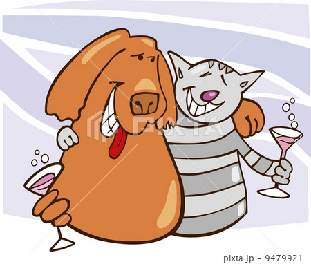 Cat and dog in friendship Cat and dog in friendship 9479921