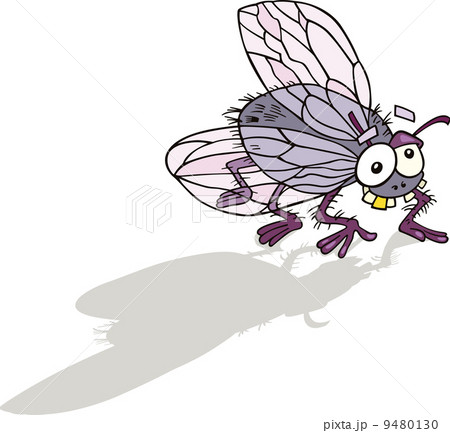Fly 9480130