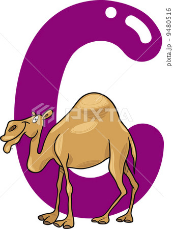 C for camel C for camel 9480516