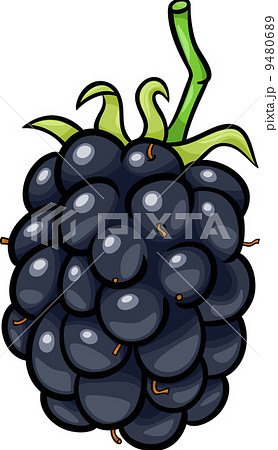 blackberry fruit cartoon illustration blackberry fruit cartoon illustration 9480689