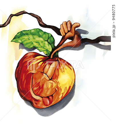 funny apple on the tree branch 9480775