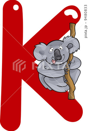 K for koala K for koala 9480833