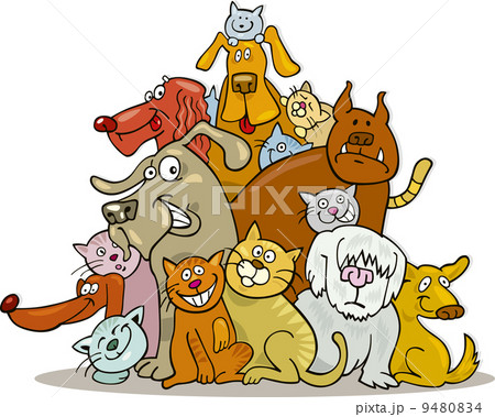 Cats and Dogs group Cats and Dogs group 9480834