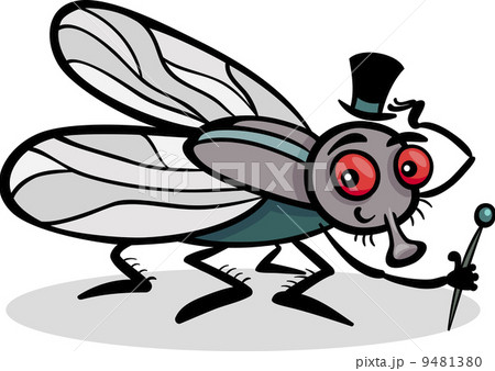 housefly insect cartoon illustration 9481380