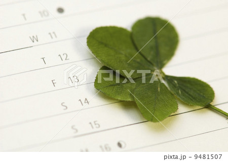 Five Leaf Clover and 13 Friday 9481507
