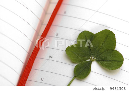 Five Leaf Clover and New Day. 9481508