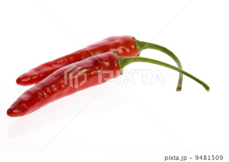 Two red peppers isolated on white. 9481509
