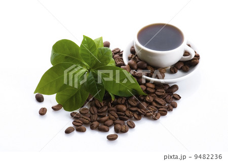fresh coffee with coffee branch 9482236