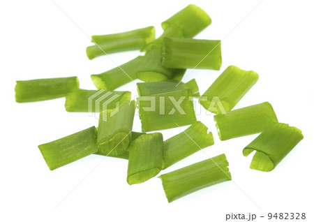 fresh herbs. dill fresh herbs. dill 9482328