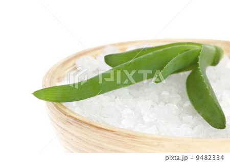 aloe vera aloe vera 9482334