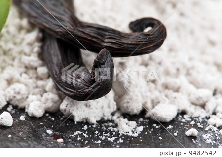 vanilla beans with aromatic sugar and flower vanilla beans with aromatic sugar and flower 9482542