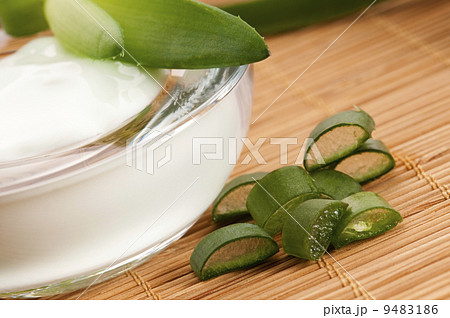 aloe vera - leaves and face cream 9483186