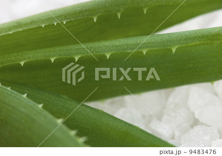 bath salt and aloe vera bath salt and aloe vera 9483476