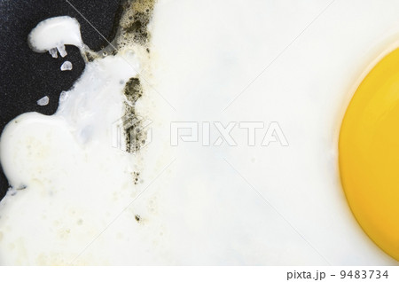 Fried eggs on on a pan Fried eggs on on a pan 9483734
