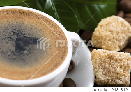 fresh coffee with coffee branch 9484319