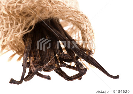 vanilla beans 9484620
