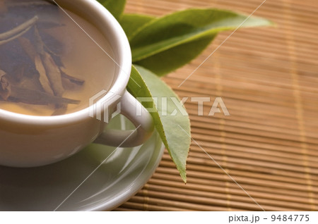 green tea green tea 9484775