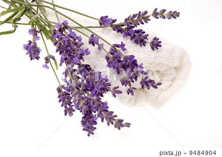 lavender bath 9484904
