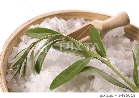 spa. bath salt and olive branch 9485018