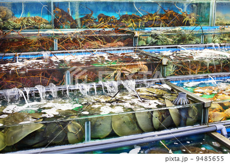 Seafood market in Hong Kong Seafood market in Hong Kong 9485655