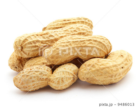 Peanut 9486013