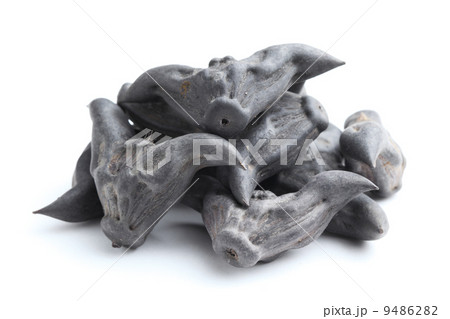 Horn Shaped Water Caltrop 9486282