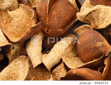 Dried tangerine peel Dried tangerine peel 9486333