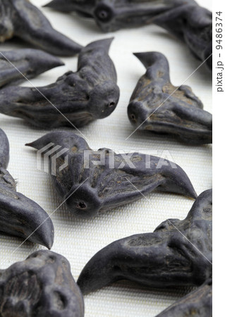 Horn Shaped Water Caltrop Horn Shaped Water Caltrop 9486374