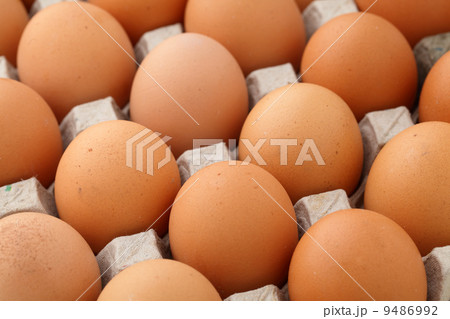 Farm egg 9486992