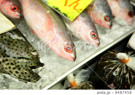 fish for sale fish for sale 9487458