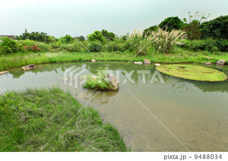 Wetland 9488034