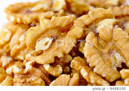 Walnut 9488100