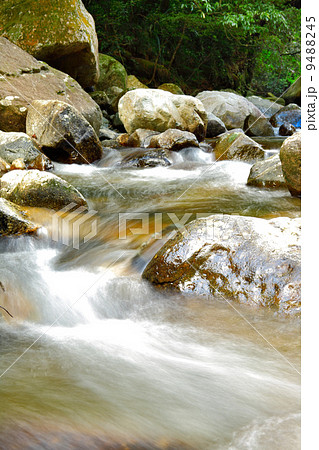 water spring 9488245