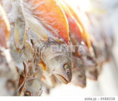 dry salt fish 9488338