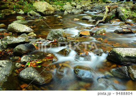 fresh stream in forest 9488804