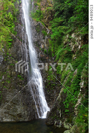 Waterfall Waterfall 9489013