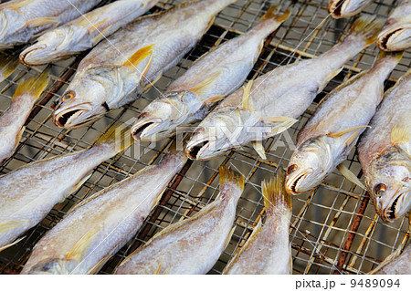 dry salt fish 9489094