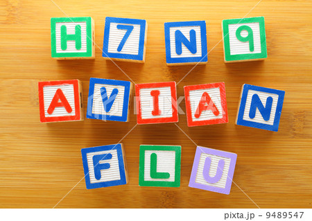 H7N9 bird flu toy block H7N9 bird flu toy block 9489547