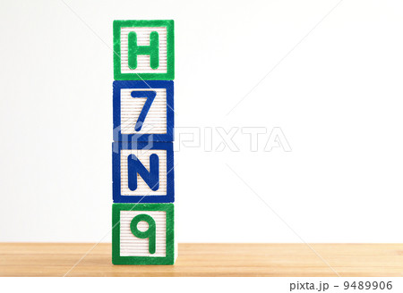 H7N9 wooden toy block H7N9 wooden toy block 9489906