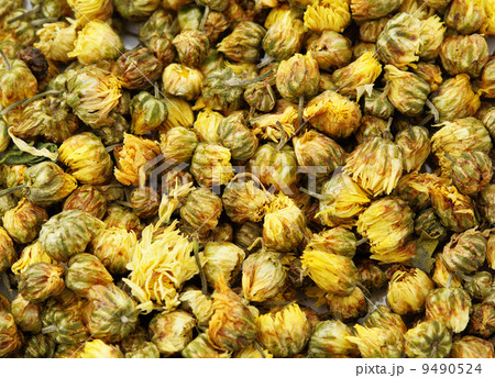 Dried chamomile tea 9490524