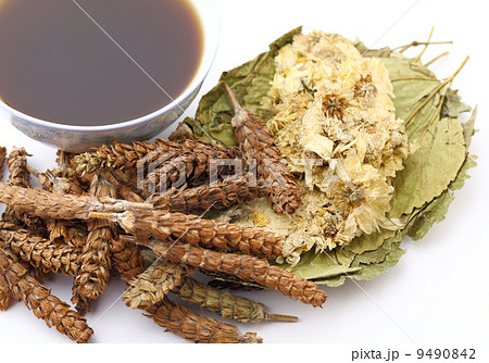 Chinese traditional herbs medicine drink Chinese traditional herbs medicine drink 9490842