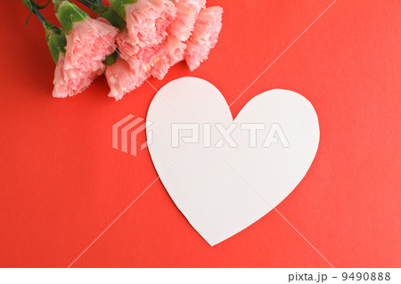 Pink carnation with mother's day love message Pink carnation with mother's day love message 9490888