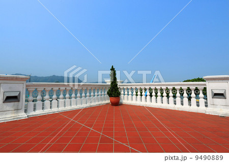 plant on european style building roof plant on european style building roof 9490889